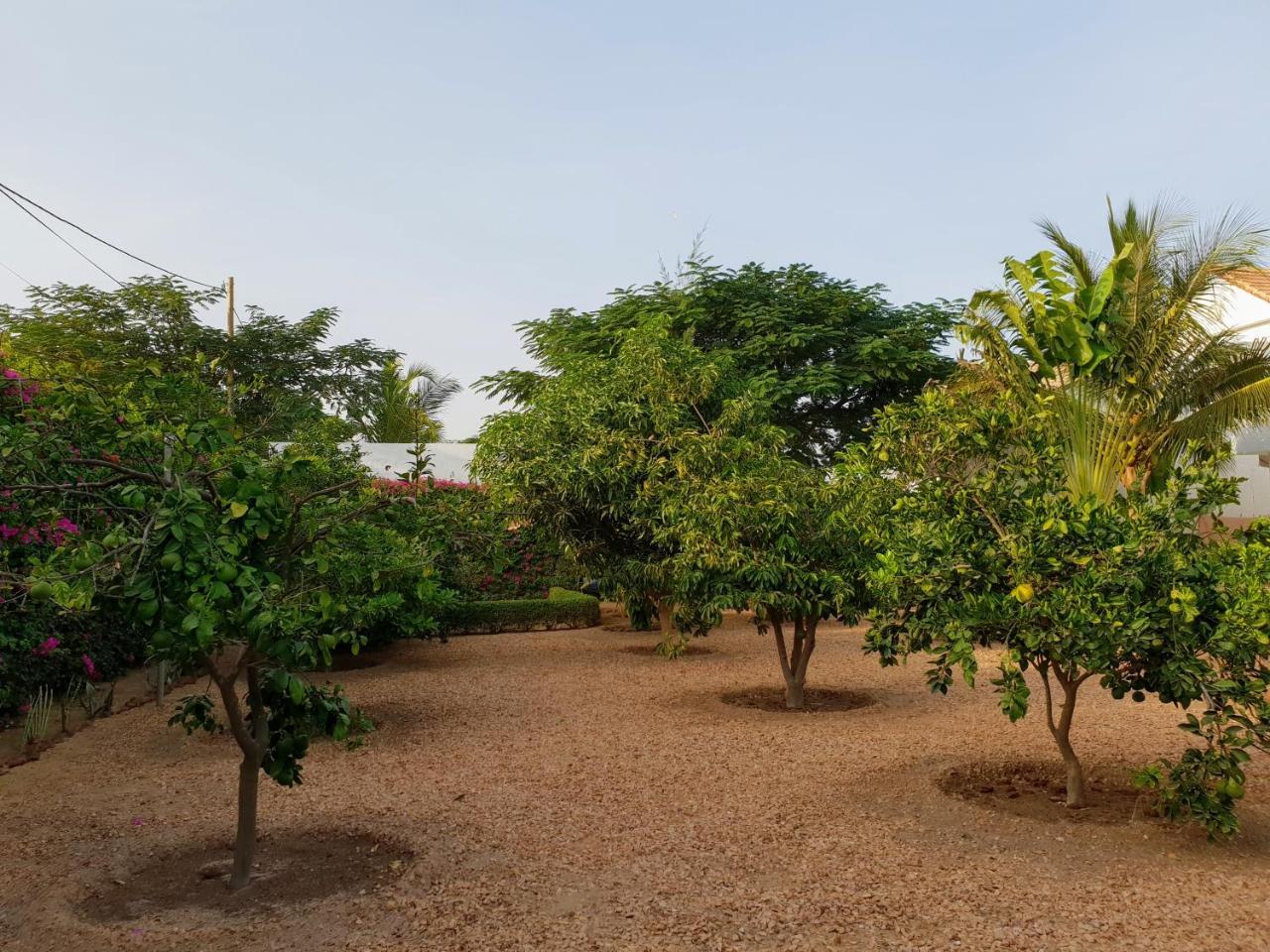 La Maison Blanche A Ngaparou, Splendide Villa Contemporaine מראה חיצוני תמונה